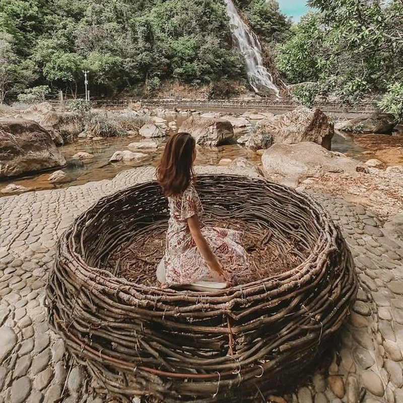 Internetberoemdheid vogelnests - Outdoor Furniture In Bali recensie en prijs